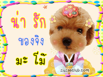 รูปภาพ