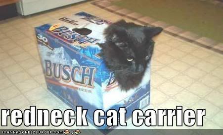 funny-pictures-cat-carrier-beer-box.jpg redneck cat carrier image by Jarden71