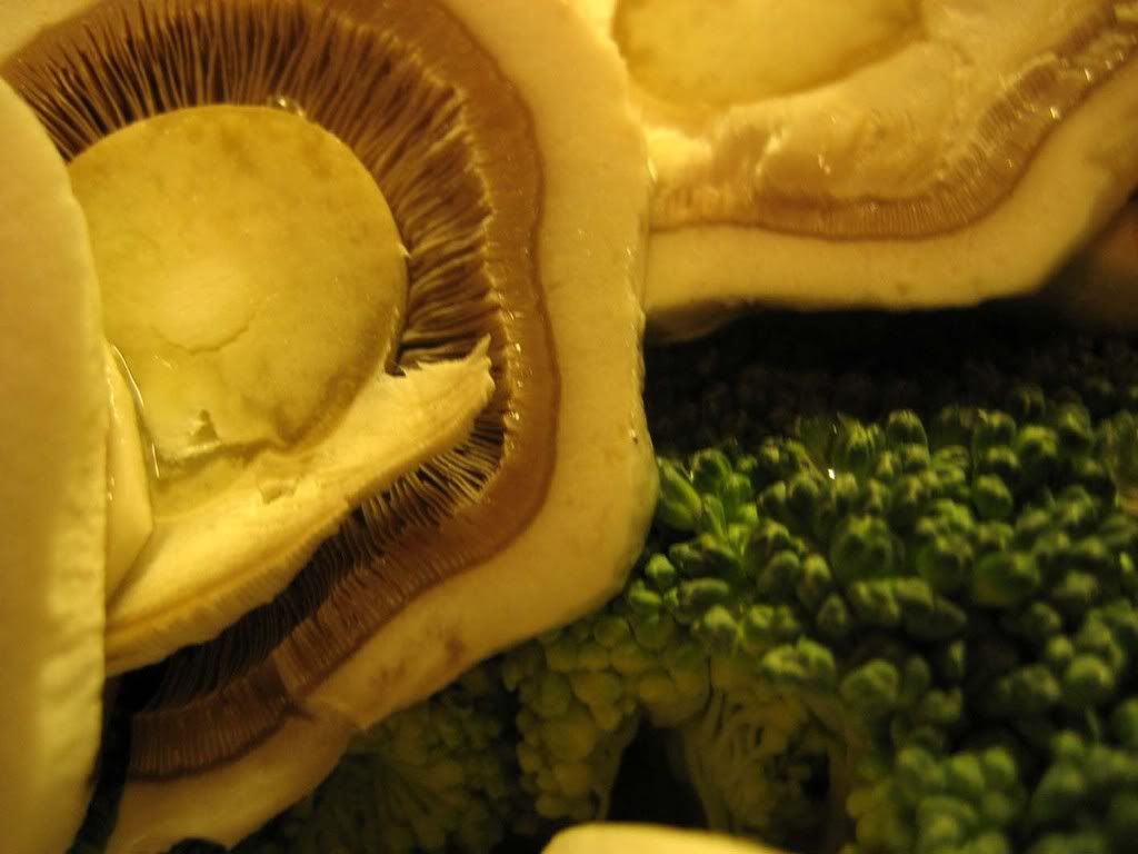 Brocolli, gljive i paradajz mart 2008