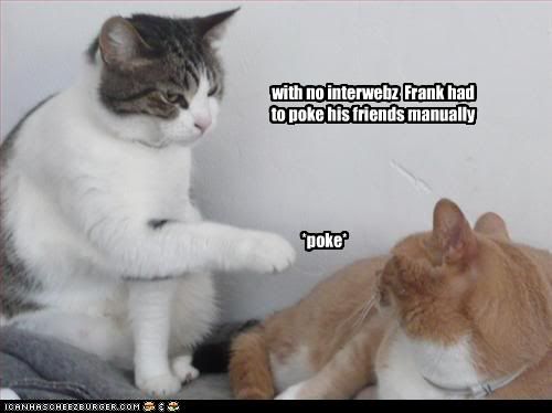funny-pictures-cat-pokes-other-cat.jpg