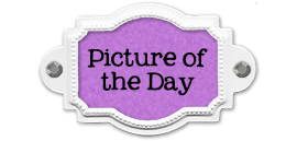  photo LabelFrame-pictureoftheday.png