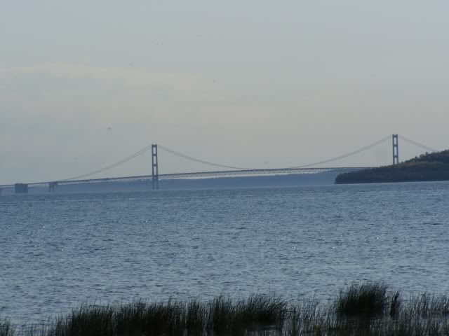 100_1440a.jpg