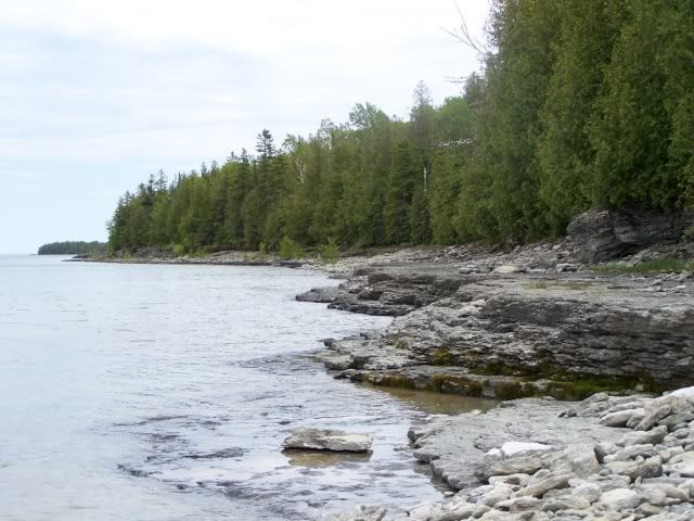 100_1457a.jpg