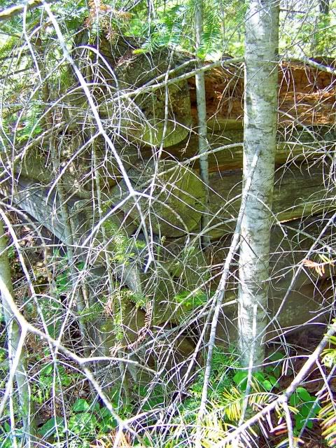 100_1484a.jpg