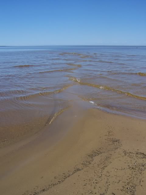 100_1489a.jpg