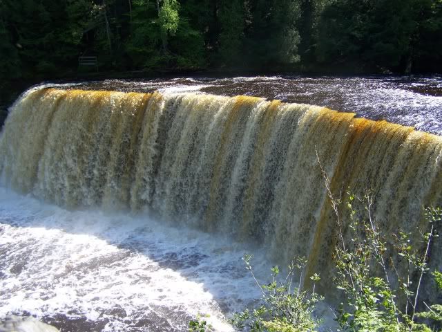 100_1508a.jpg