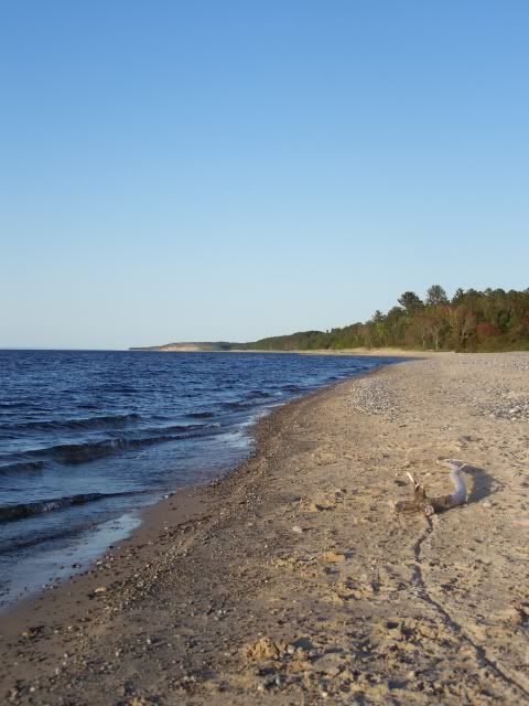 100_1515a.jpg
