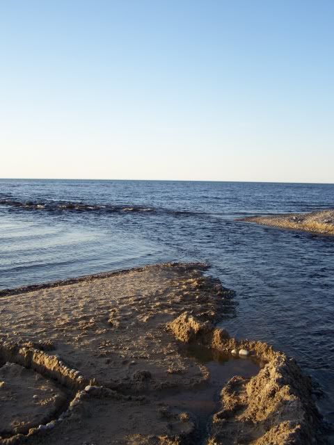 100_1521a.jpg