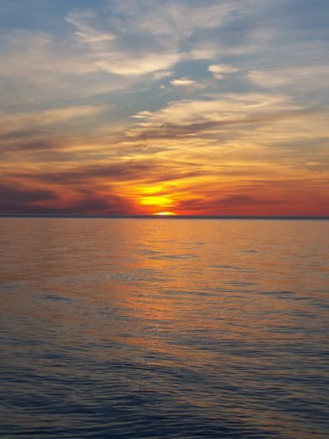 100_1533a.jpg