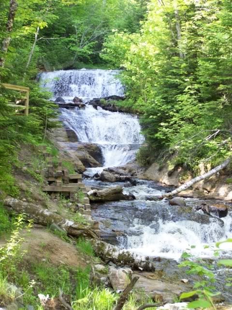 100_1551a.jpg