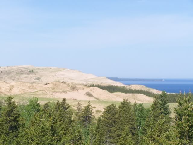 100_1560a.jpg