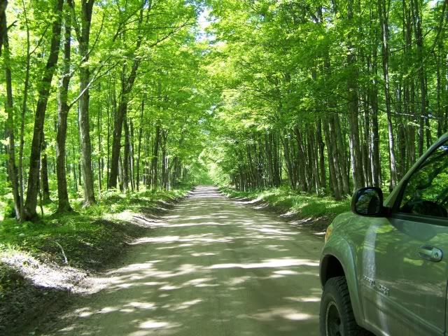 100_1570a.jpg
