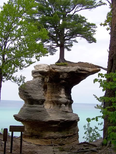 100_1595a.jpg