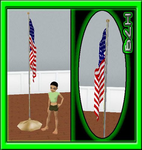 Flag/Pole