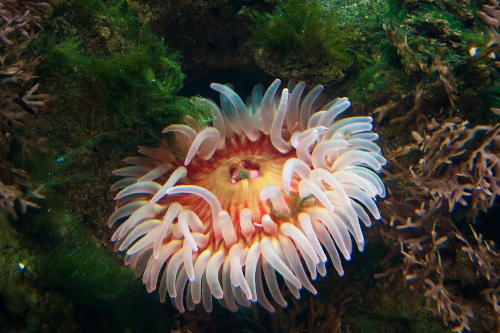 IMAGE: http://i246.photobucket.com/albums/gg107/Losi4Life/IMG_0638-1.jpg