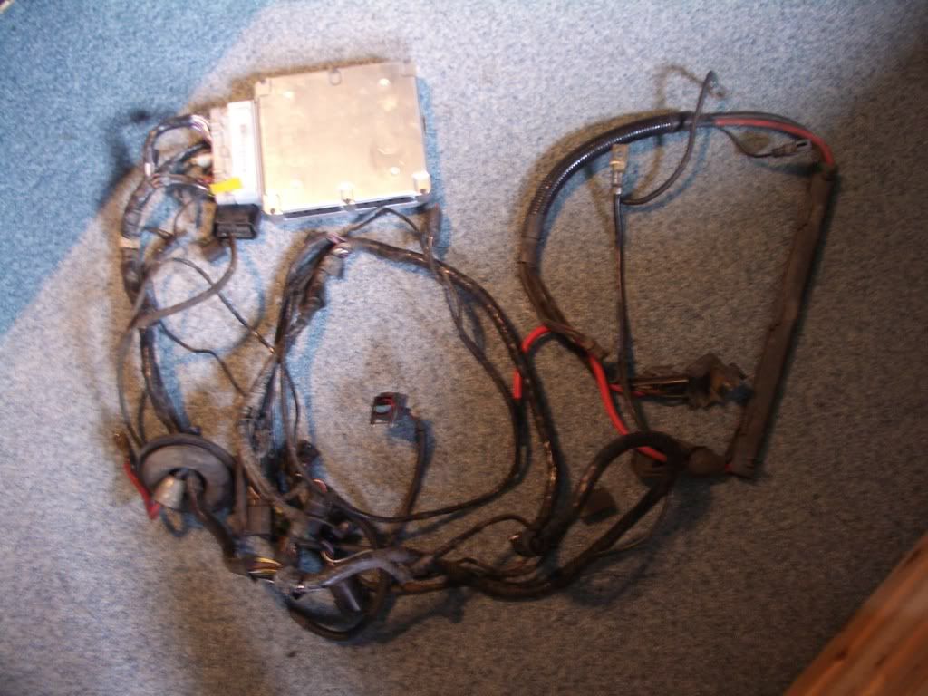IMGP3734.jpg