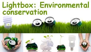 LightboxEnvironmentalconservation