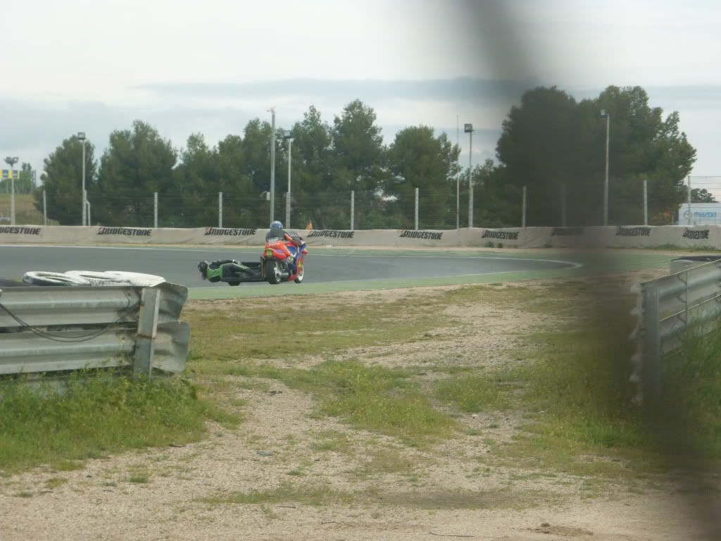 P1050800.jpg