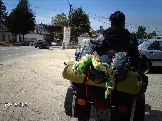 IMAG1275.jpg