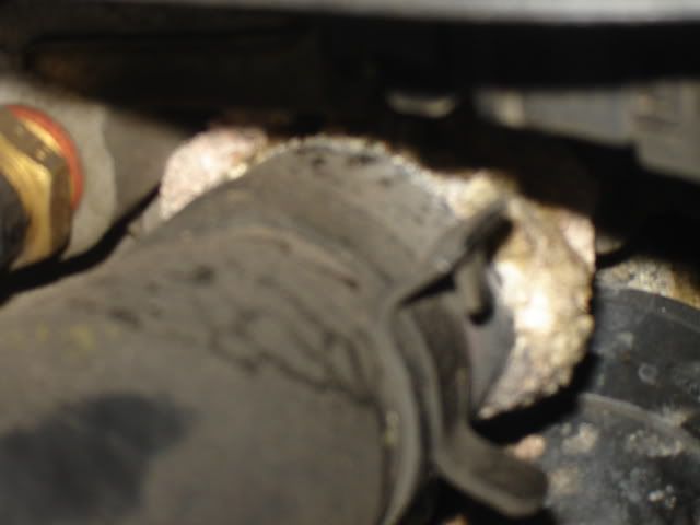 http://i246.photobucket.com/albums/gg111/PaulJBrudzienski/DSC02338.jpg