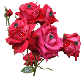 rozen Pictures, Images and Photos