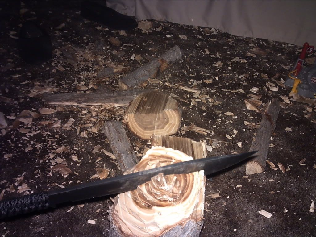[Linked Image from i246.photobucket.com]