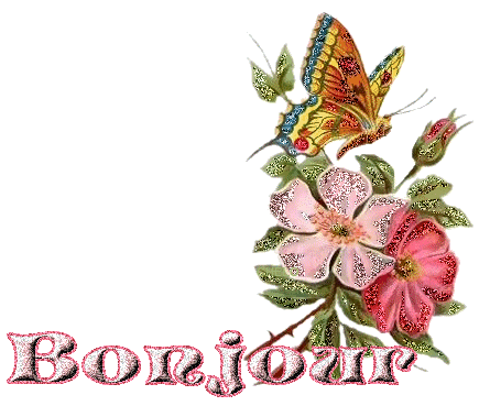 bonjour-1.gif