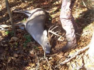 Big Bucks Illinois big buck