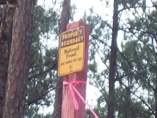 Public Hunting National forest