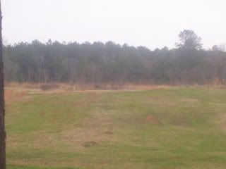Deer Hunting Land deer hunting land