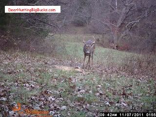 Kansas Deer Hunting Northeast Kansas deer hunting