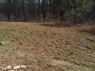 Food Plot Food plot preparation