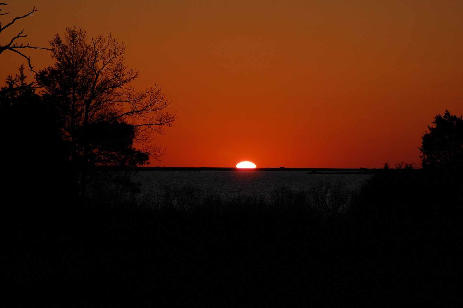 DSC_0004f.jpg