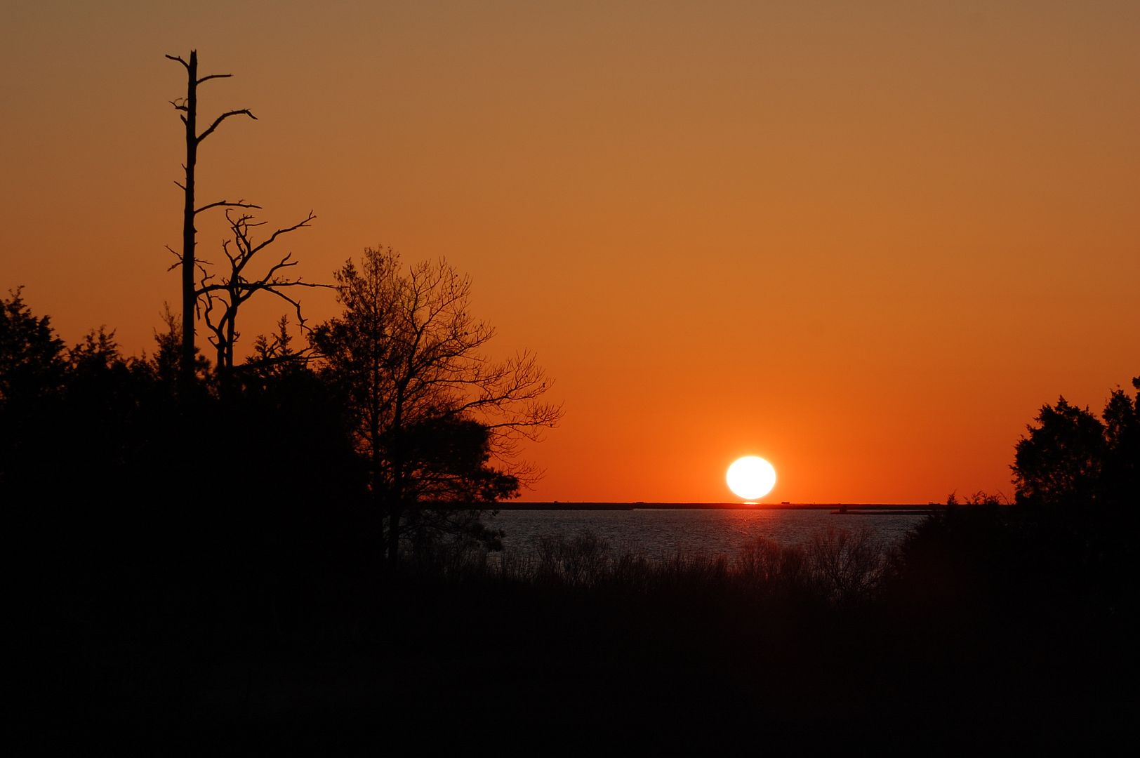 DSC_0034c.jpg
