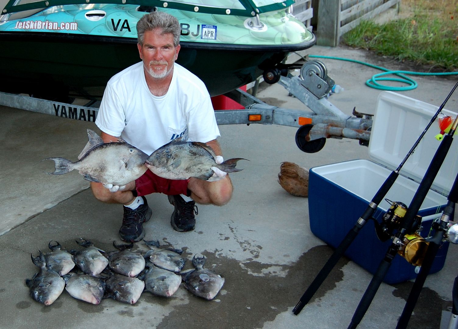 briantriggerfish.jpg