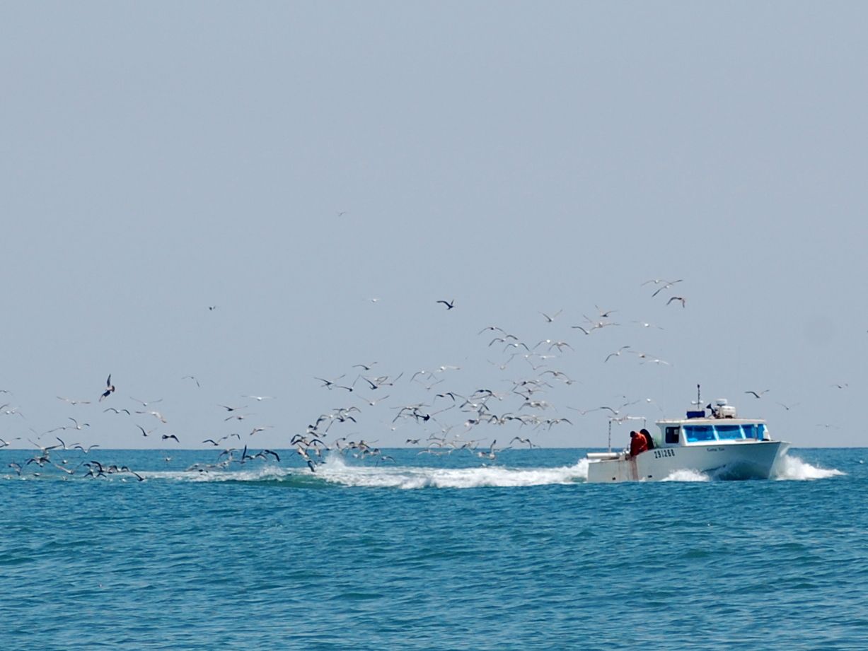 commercialfishing.jpg