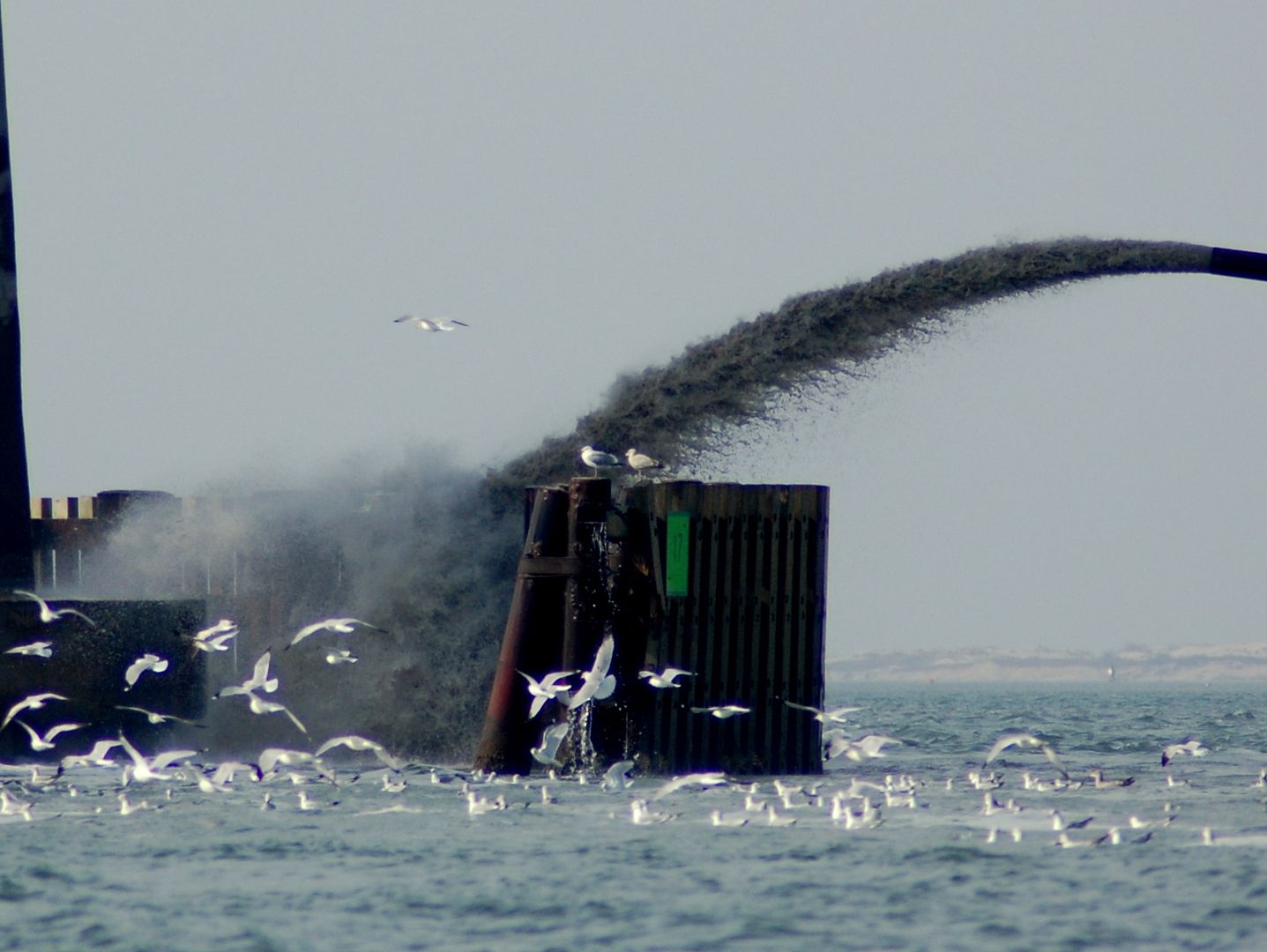dredge2.jpg