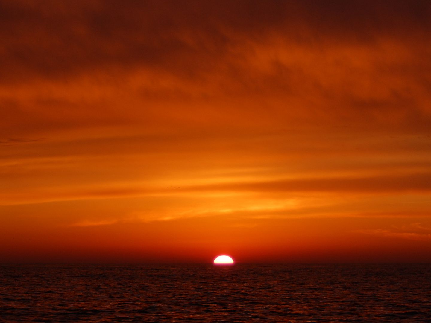sunrise.jpg