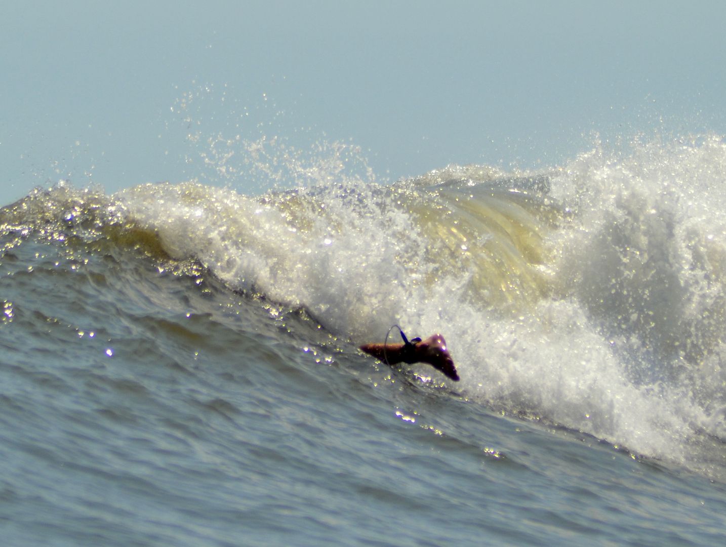 surferfoot.jpg