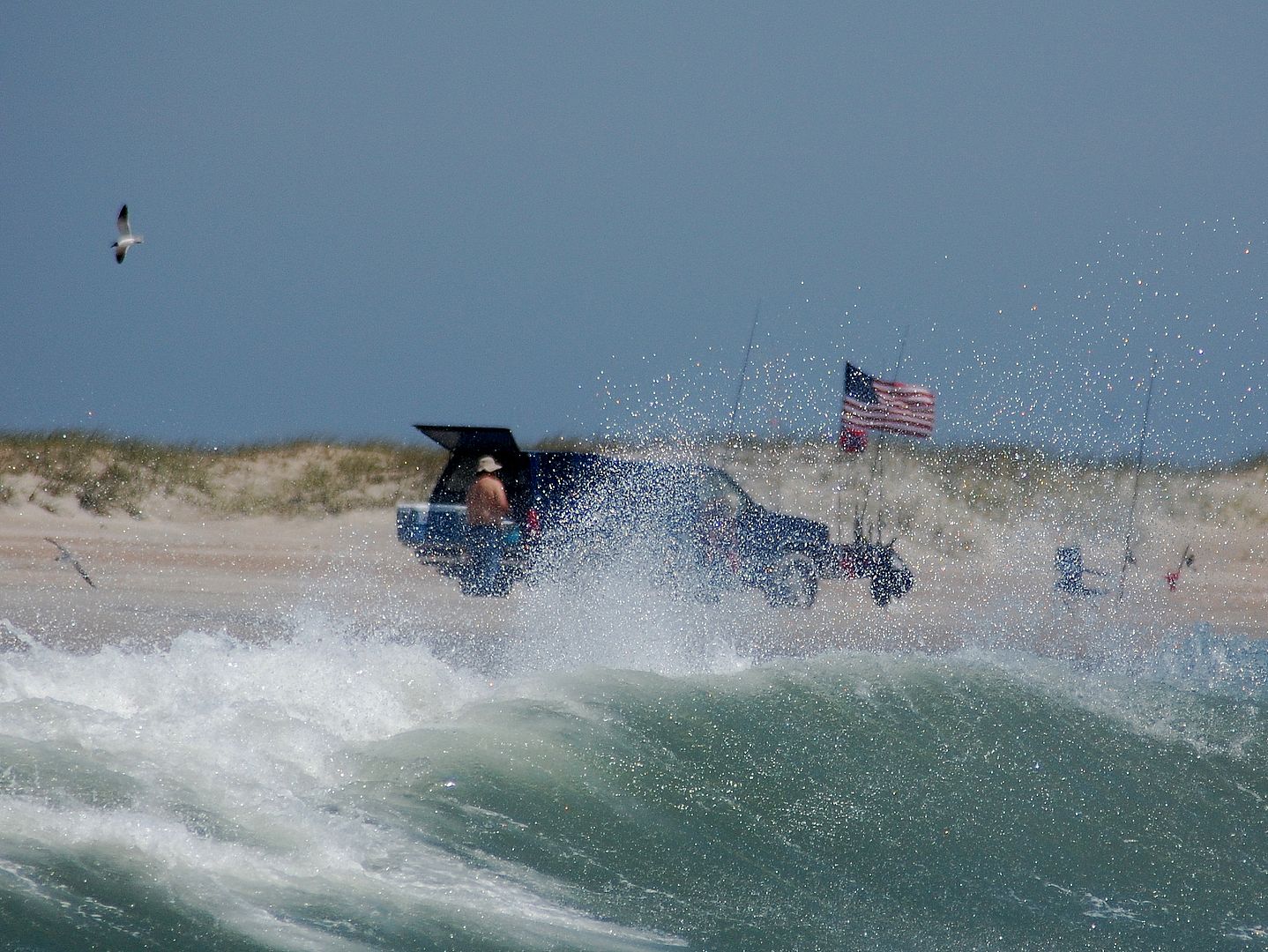 surffishing2.jpg