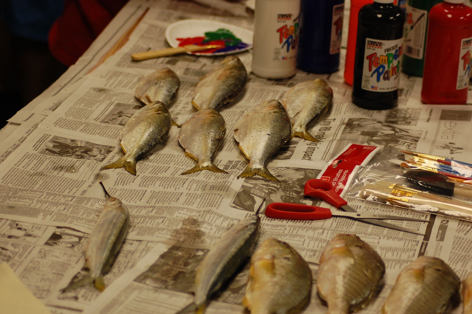 DSC_0017c.jpg