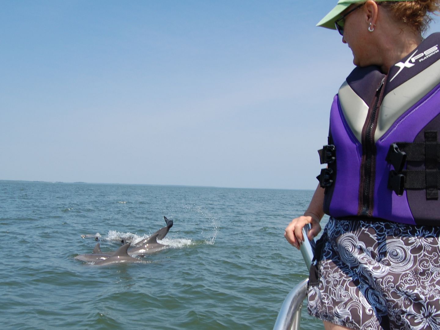 cindydophins.jpg