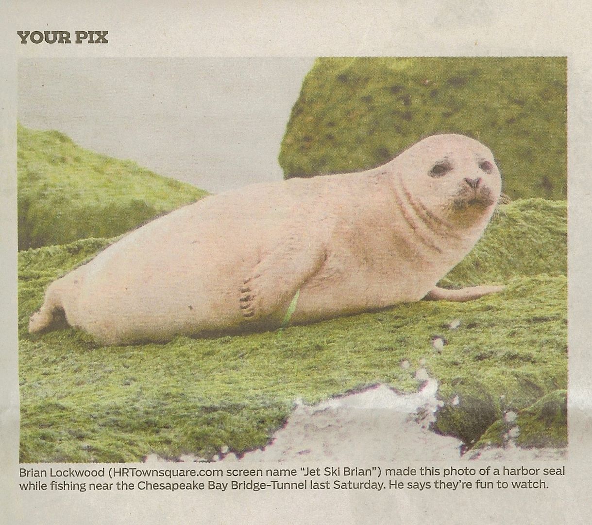 dailypressseal2.jpg