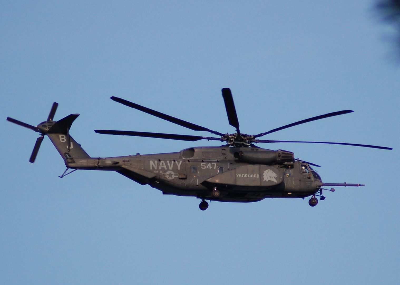 heli.jpg