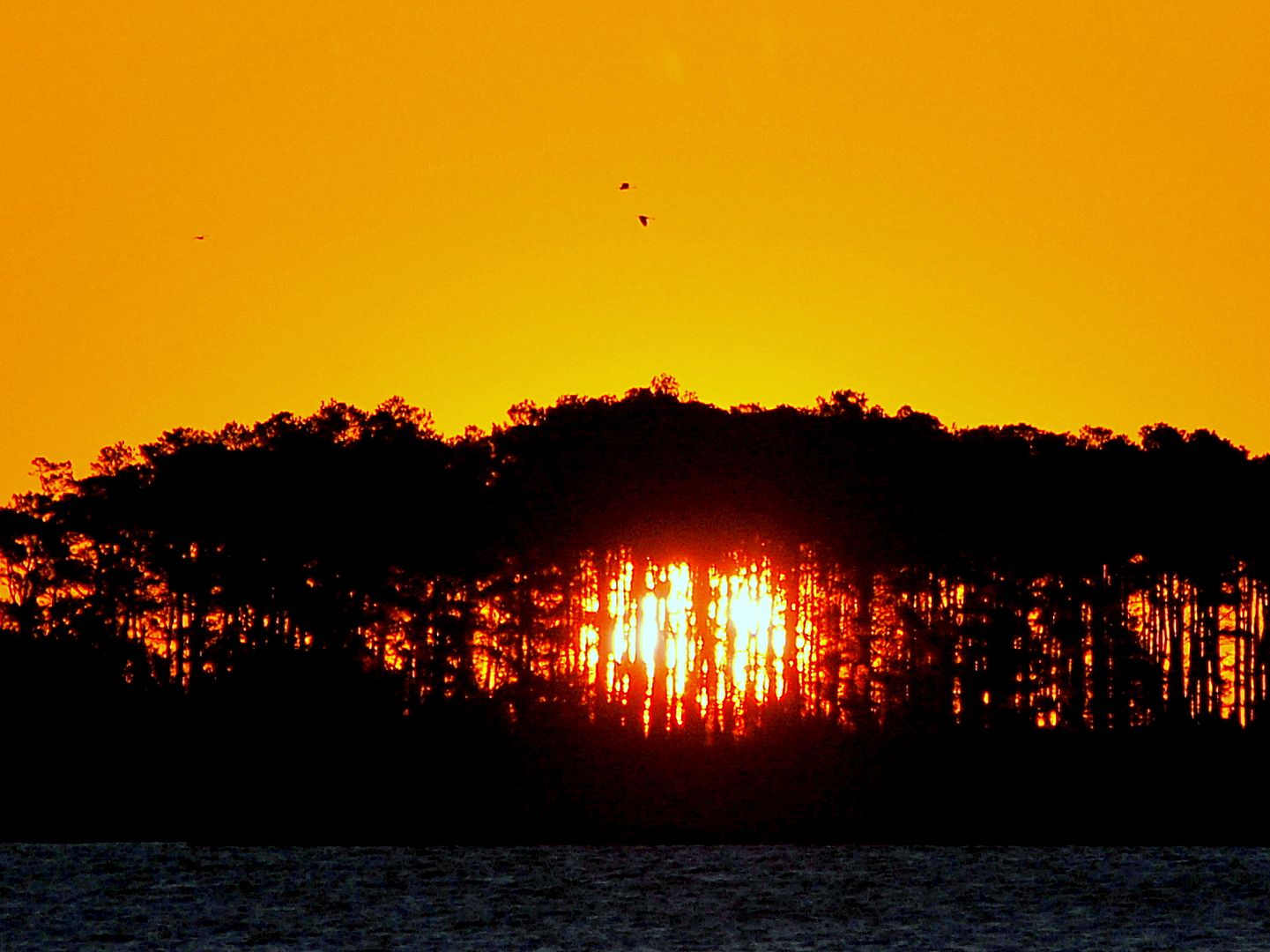 sunrise-1.jpg