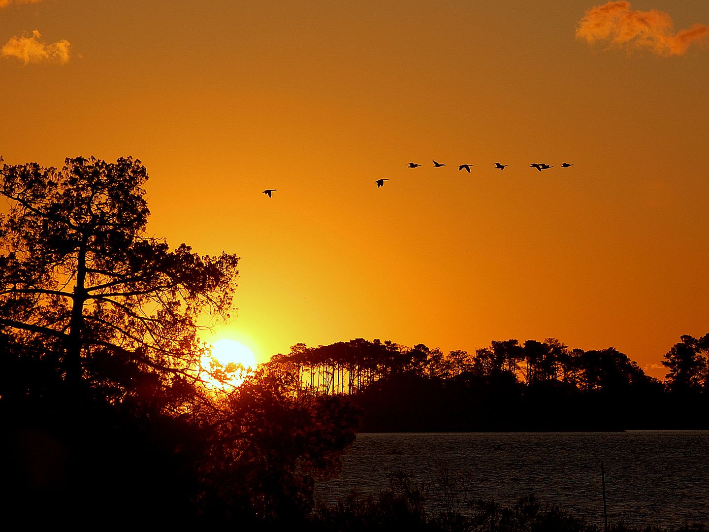 sunrise.jpg