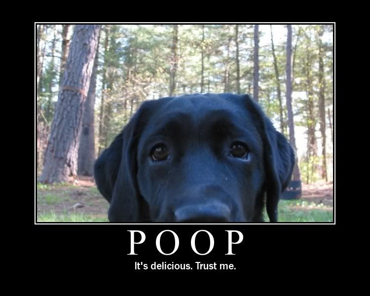 poop.jpg