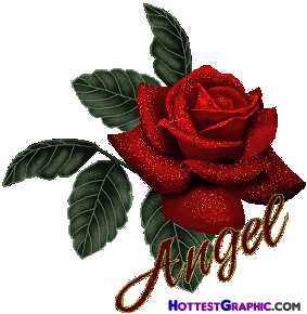 red rose angel Pictures, Images and Photos