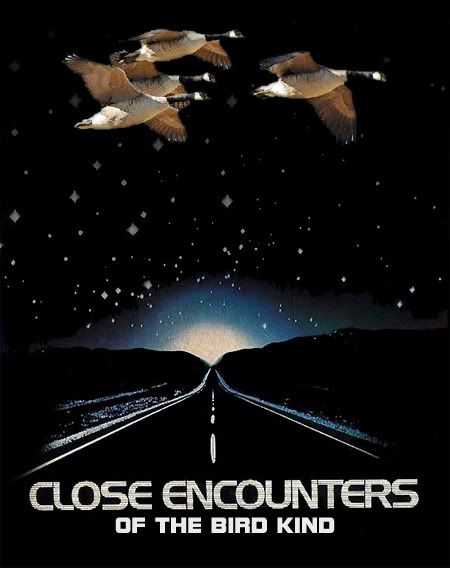 CLOSE-ENCOUNTERS-2.jpg