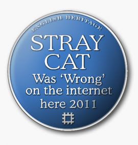 STRAY-CAT-WRONG.jpg